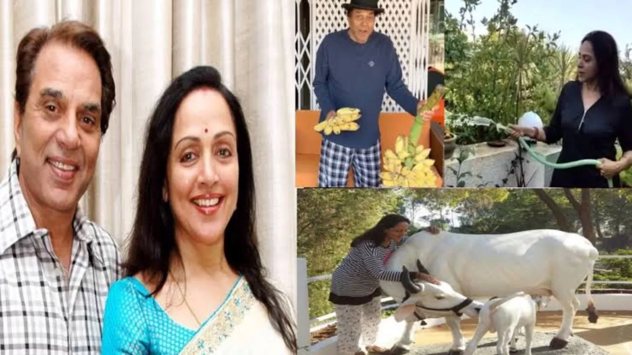 धर्मेंद्र और हेमा मालिनी करोड़ों पैसा होने के बाद भी नहीं तोड़ा जमीन से नाता, पत्नी संग फॉर्महाउस में बीता रहे हैं नार्मल जिंदगी