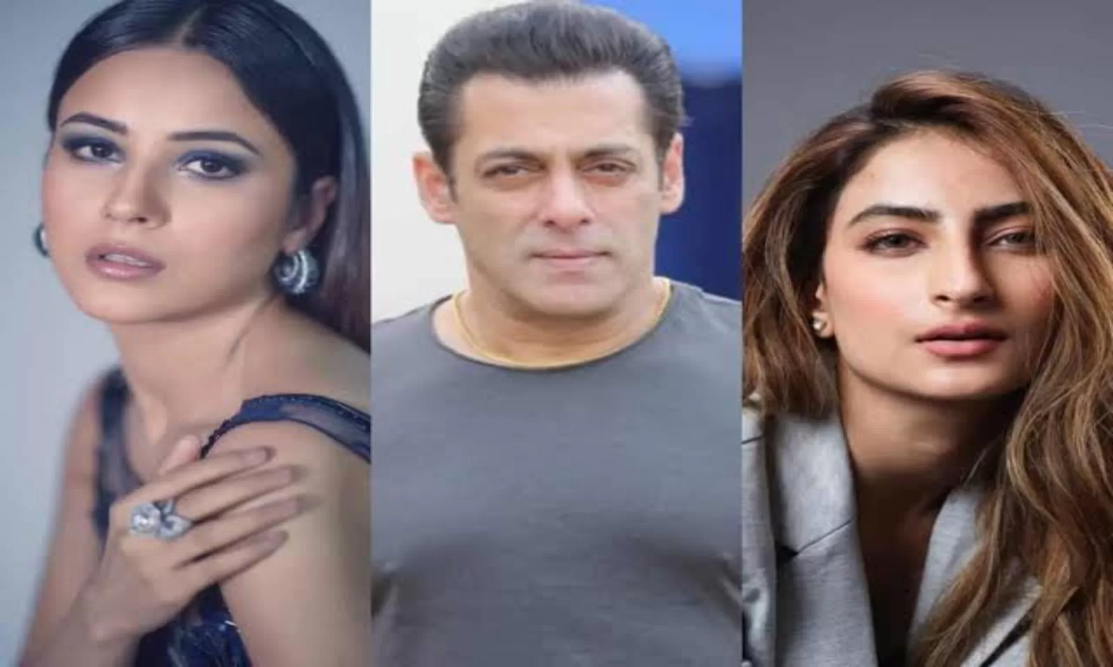 सलमान खान का खुल गया बड़ा राज, इसलिए सलमान खान नई अभिनेत्रियों को देते हैं अपनी फिल्म में काम करने का मौका, जैकलिन भी,,,