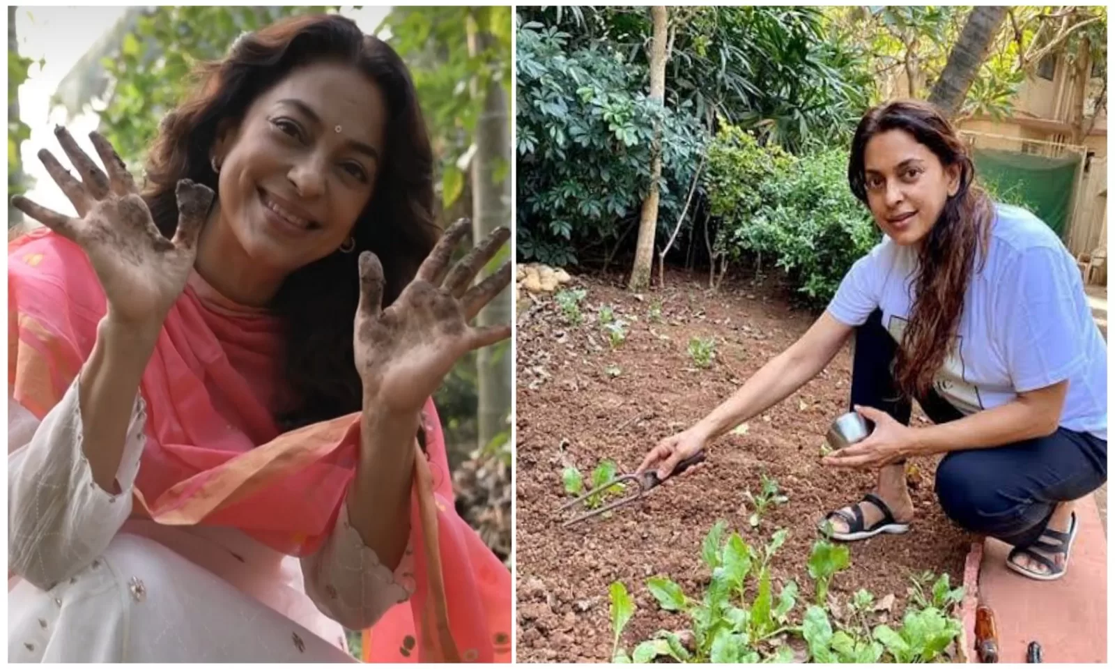 फिल्मों से दूर अब बिता रहीं सादगी भरी जिंदगी, जूही चावला ने अपने फार्महाउस शुरू की खेती, देखें तस्वीरें..
