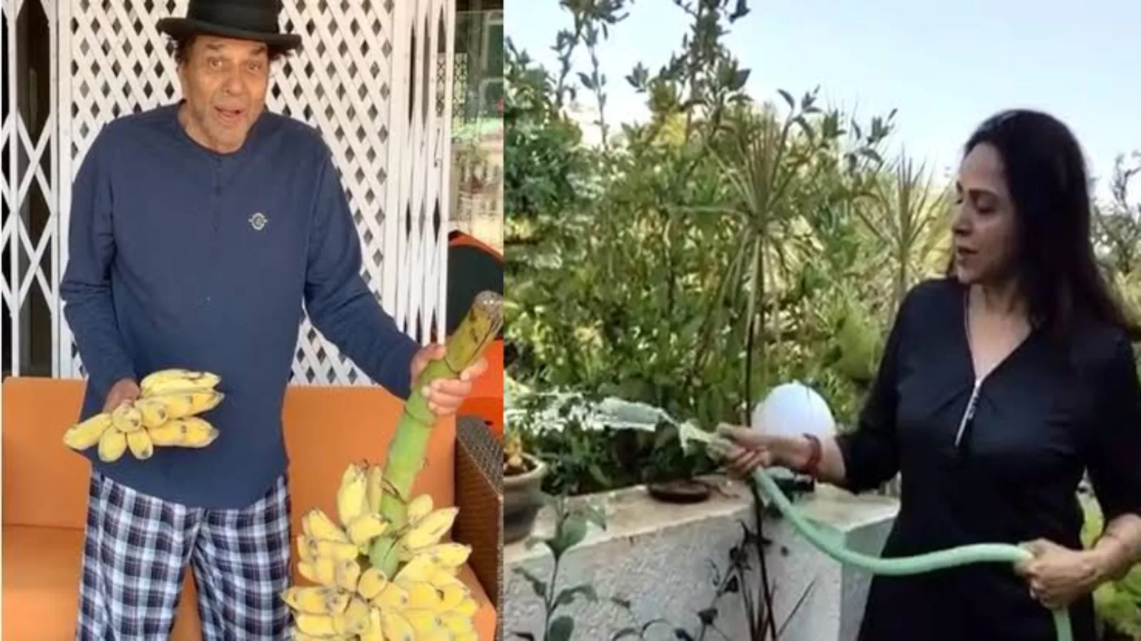 हेमा मालिनी को पहली बार देखते ही प्यार में गिर गये थे धर्मेंद्र, इस तरह पहली बार किया था प्रोपोज