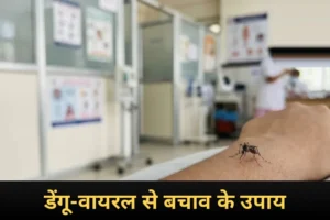 डेंगू और वायरल बुखार से बचाव के लिए मच्छर नियंत्रण और सावधानी