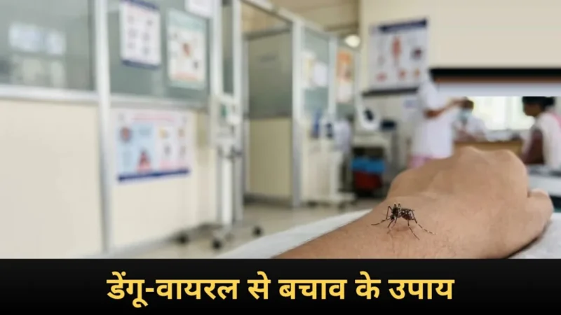 डेंगू और वायरल बुखार से बचाव के लिए मच्छर नियंत्रण और सावधानी